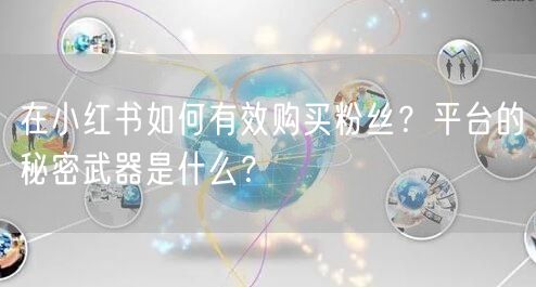 在小红书如何有效购买粉丝？平台的秘密武器是什么？