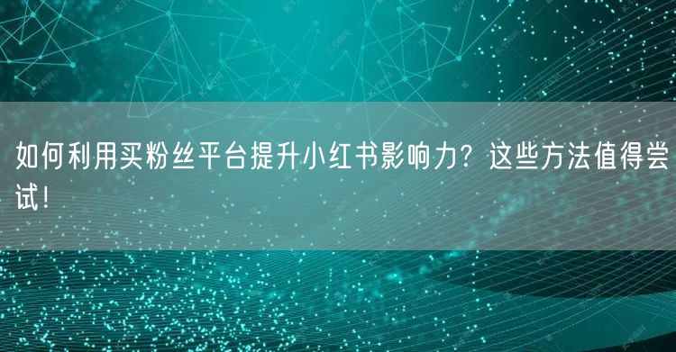 如何利用买粉丝平台提升小红书影响力？这些方法值得尝试！