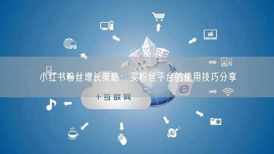 小红书粉丝增长策略：买粉丝平台的使用技巧分享
