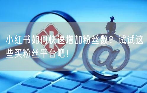 小红书如何快速增加粉丝数？试试这些买粉丝平台吧！