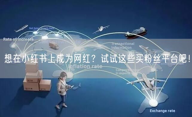 想在小红书上成为网红？试试这些买粉丝平台吧！