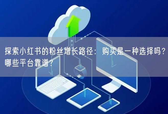 探索小红书的粉丝增长路径：购买是一种选择吗？哪些平台靠谱？