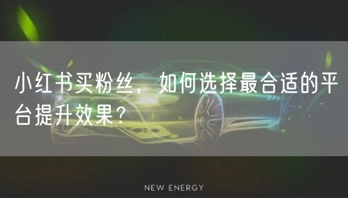 小红书买粉丝，如何选择最合适的平台提升效果？