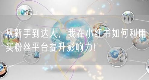 从新手到达人，我在小红书如何利用买粉丝平台提升影响力！