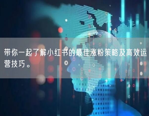 带你一起了解小红书的最佳涨粉策略及高效运营技巧。