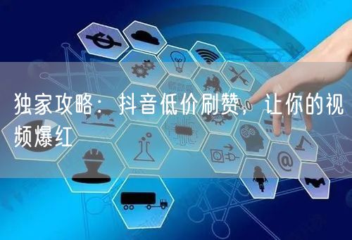 独家攻略：抖音低价刷赞，让你的视频爆红