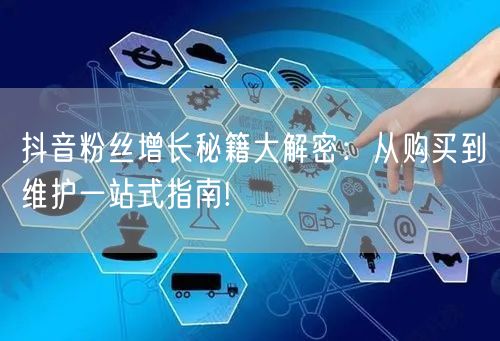 抖音粉丝增长秘籍大解密：从购买到维护一站式指南!
