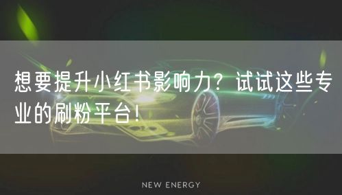 想要提升小红书影响力？试试这些专业的刷粉平台！
