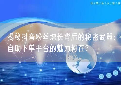 揭秘抖音粉丝增长背后的秘密武器：自助下单平台的魅力何在？