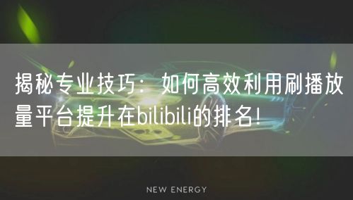 揭秘专业技巧：如何高效利用刷播放量平台提升在bilibili的排名！