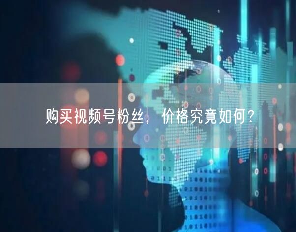 购买视频号粉丝，价格究竟如何？