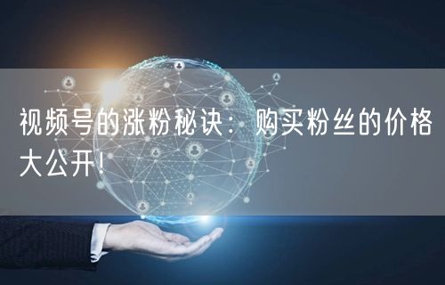 视频号的涨粉秘诀：购买粉丝的价格大公开！