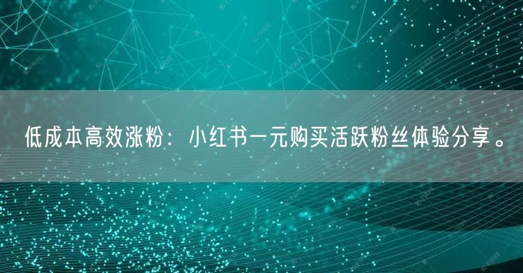 低成本高效涨粉：小红书一元购买活跃粉丝体验分享。