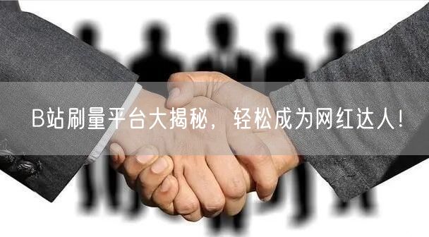 B站刷量平台大揭秘，轻松成为网红达人！