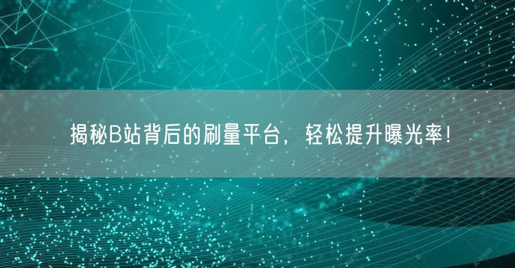 揭秘B站背后的刷量平台，轻松提升曝光率！