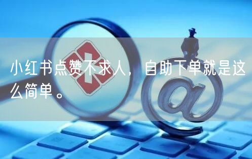 小红书点赞不求人，自助下单就是这么简单。