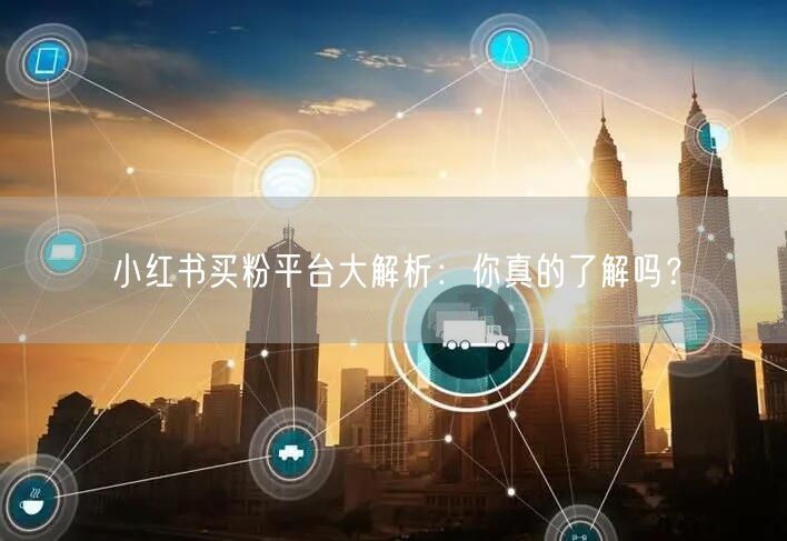 小红书买粉平台大解析：你真的了解吗？