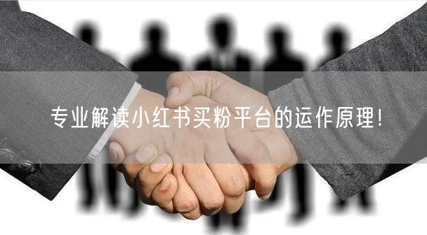 专业解读小红书买粉平台的运作原理！