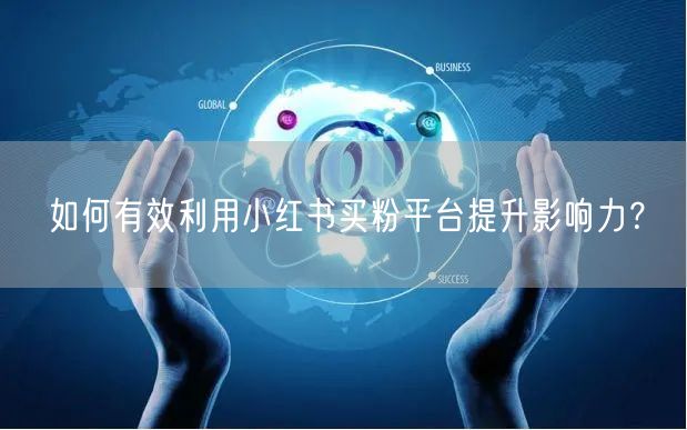 如何有效利用小红书买粉平台提升影响力？