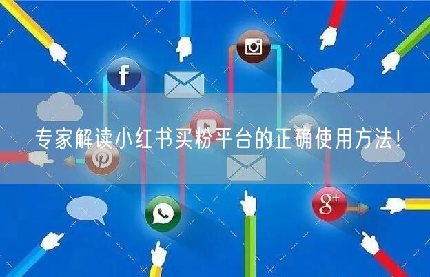专家解读小红书买粉平台的正确使用方法！
