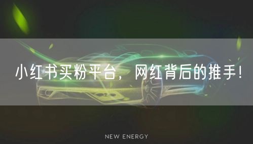 小红书买粉平台，网红背后的推手！
