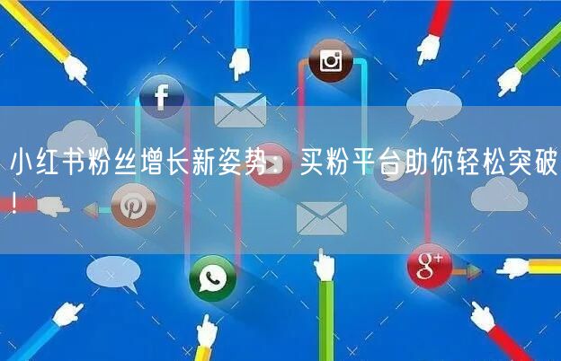 小红书粉丝增长新姿势：买粉平台助你轻松突破！