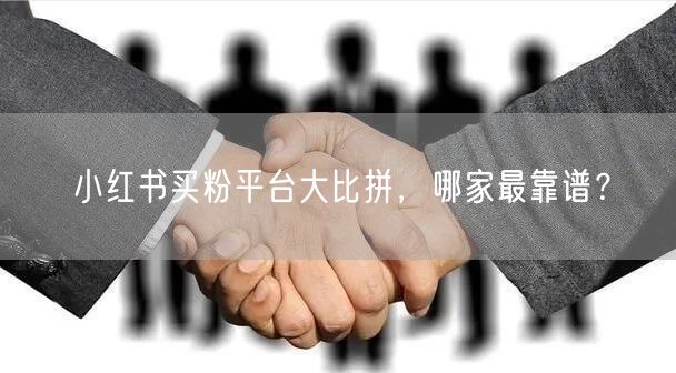小红书买粉平台大比拼，哪家最靠谱？