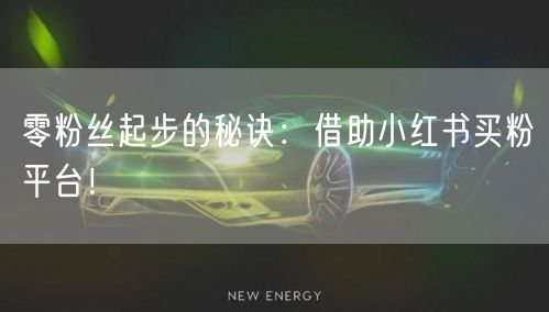 零粉丝起步的秘诀：借助小红书买粉平台！