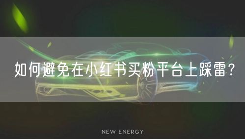 如何避免在小红书买粉平台上踩雷？