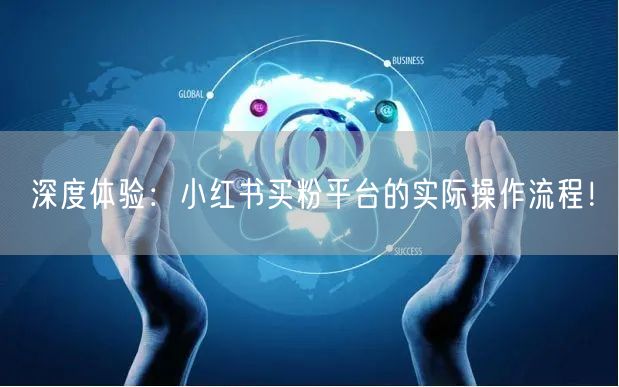 深度体验：小红书买粉平台的实际操作流程！