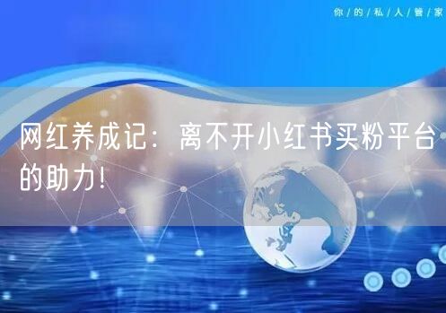 网红养成记：离不开小红书买粉平台的助力！